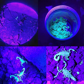 Lanterna Tática Luz Negra Ultravioleta Falcon 500
